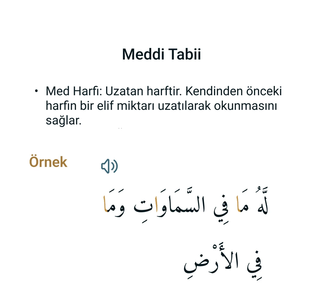 Interactive Tajweed rules learning interface on Nour Glass